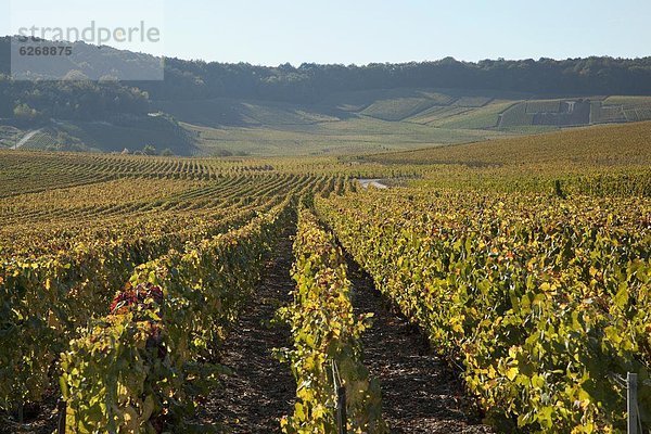 Frankreich  Europa  Champagne-Ardenne