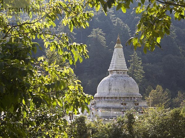 zwischen  inmitten  mitten  Stupa  Asien  Bhutan