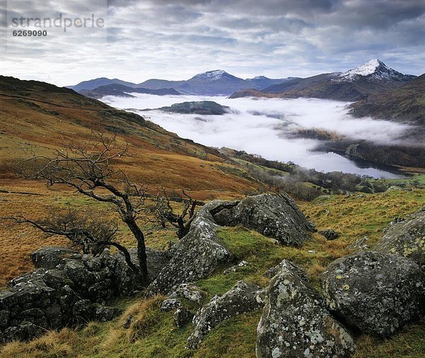 Europa  Berg  Großbritannien  über  Dunst  Snowdonia Nationalpark  Wales