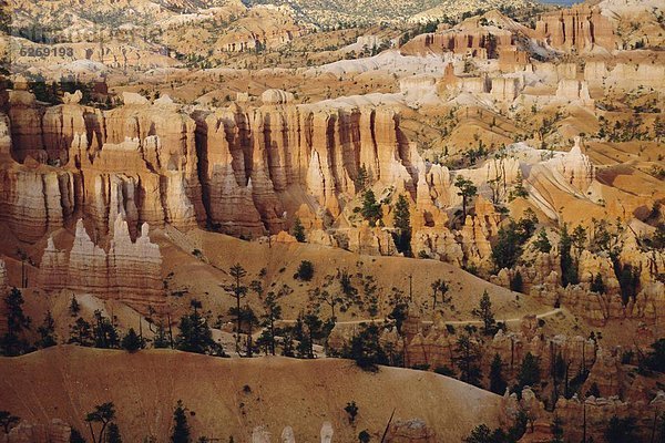 Vereinigte Staaten von Amerika  USA  Bryce Canyon Nationalpark