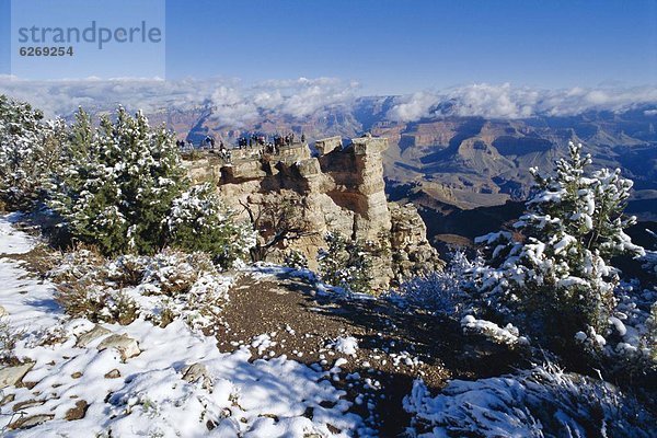 Grand Canyon  Arizona  USA