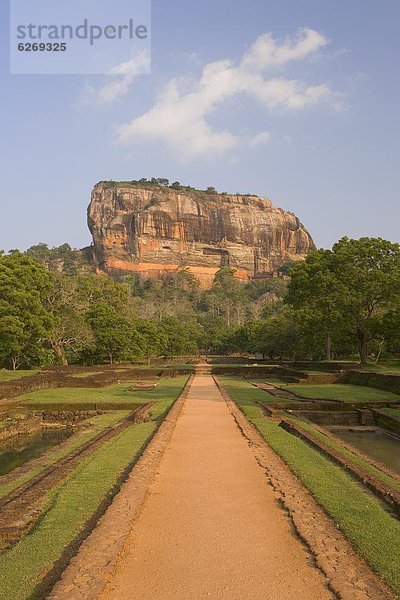 Felsbrocken  Löwe  Panthera leo  Festung  UNESCO-Welterbe  Asien  Sigiriya  Sri Lanka
