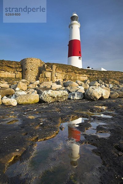 Schnabel  Felsbrocken  Europa  Großbritannien  Spiegelung  Leuchtturm  UNESCO-Welterbe  Rechnung  Dorset  England  Reflections