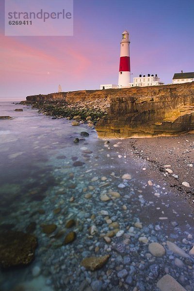 Schnabel  Europa  Großbritannien  Leuchtturm  UNESCO-Welterbe  Rechnung  Dorset  England