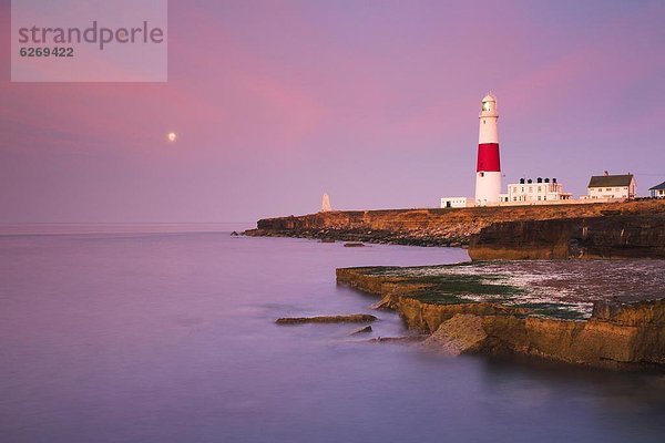 Schnabel  Europa  Großbritannien  Himmel  über  Morgendämmerung  Leuchtturm  Mond  UNESCO-Welterbe  Rechnung  Dorset  England  voll