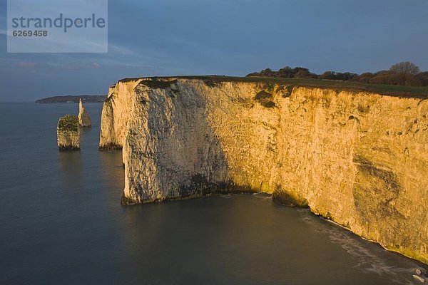 nahe  Felsbrocken  Europa  Großbritannien  Swanage  UNESCO-Welterbe  Kreide  Dorset  England  alt