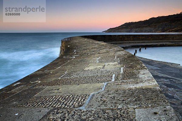 Steinmauer  Europa  Großbritannien  Morgendämmerung  Lyme Regis  Dorset  England