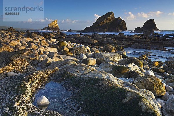 Europa  Felsen  Großbritannien  Küste  UNESCO-Welterbe  Bucht  Dorset  England