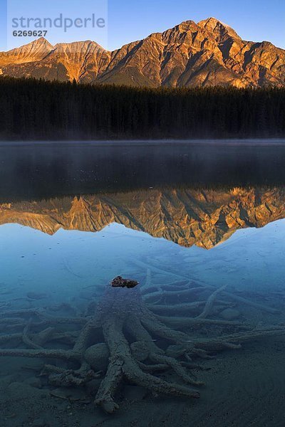 Nordamerika  Rocky Mountains  Jasper Nationalpark  UNESCO-Welterbe  Alberta  Kanada