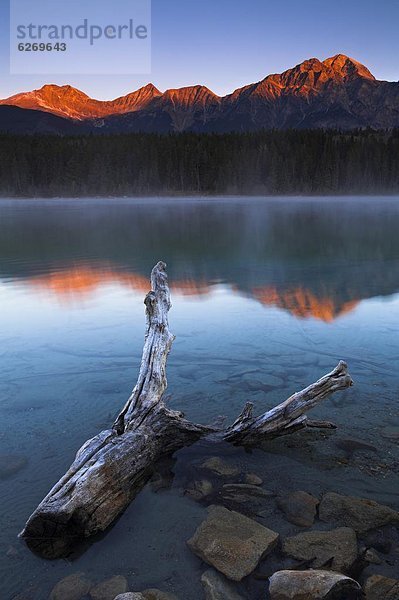 Beleuchtung Licht See Nordamerika seicht Kälte Rocky Mountains Jasper Nationalpark UNESCO-Welterbe Alberta Kanada Treibholz
