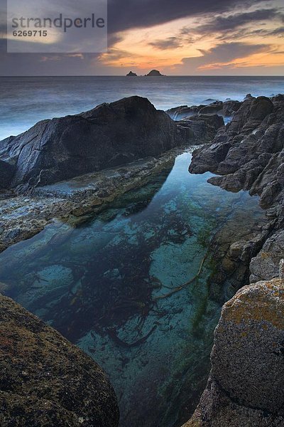 Europa  sehen  Sonnenuntergang  Großbritannien  Gezeitentümpel  Cornwall  England