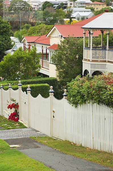 Historische Häuser  Paddington  Brisbane  Queensland  Australien  Pazifik