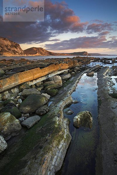 Felsbrocken  Europa  Abend  Großbritannien  Glut  spät  Sonnenlicht  Fenstersims  UNESCO-Welterbe  Bucht  Dorset  England