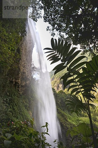 Der Rio Verde-Wasserfall  einer von vielen im Tal des Flusses Pastaza  die aus den Anden zum oberen Amazonasbecken  in der Nähe von Banos  Ambato Provinz Central Highlands  Ecuador  Südamerika fließt