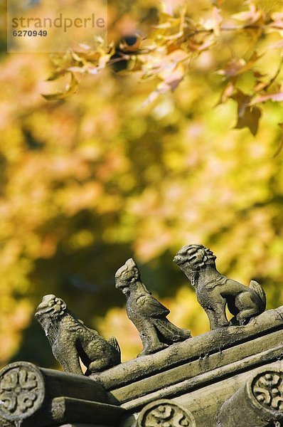 Farbaufnahme  Farbe  Lifestyle  chinesisch  Figur  Dekoration  Herbst  Peking  Hauptstadt  Asien  Messehalle