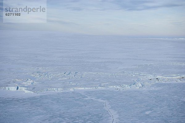 Eisscholle  Antarktis  Weddellmeer