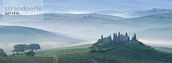 zeigen  rollen  Europa  Ländliches Motiv  ländliche Motive  Morgendämmerung  Ansicht  UNESCO-Welterbe  Toskana  Italien