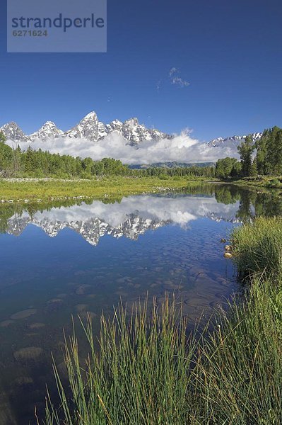 Vereinigte Staaten von Amerika  USA  Ehrfurcht  Fluss  Spiegelung  Kathedrale  Nordamerika  Berg  Wyoming