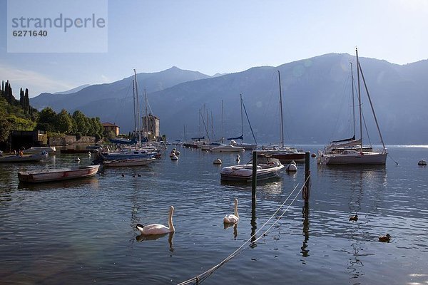 Europa  Italien  Comer See  Bellagio  Lombardei