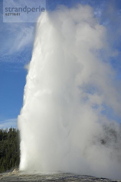 Vereinigte Staaten von Amerika  USA  Nordamerika  Geysir  UNESCO-Welterbe  Wyoming