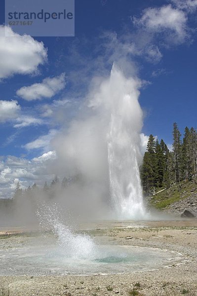 Vereinigte Staaten von Amerika  USA  Nordamerika  Geysir  UNESCO-Welterbe  Wyoming