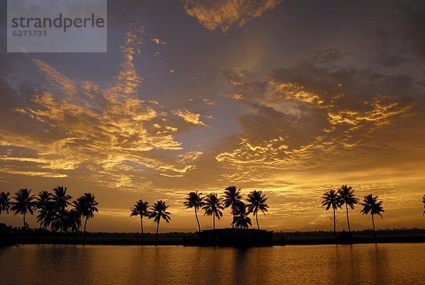 Sonnenuntergang  über  Asien  Indien  Kerala