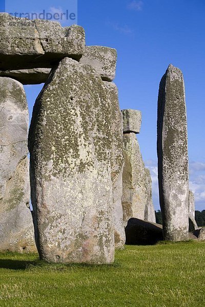 Europa  Großbritannien  UNESCO-Welterbe  England  Stonehenge  Wiltshire