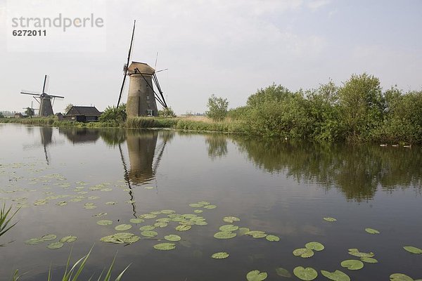 Europa  Niederlande