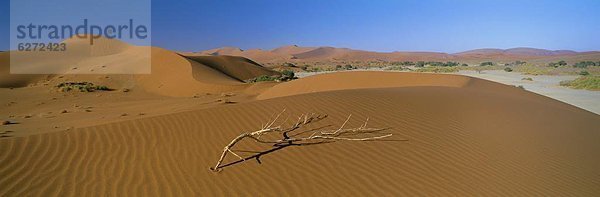 Namibia  Namib  Namib Naukluft Nationalpark  Afrika  Sossusvlei