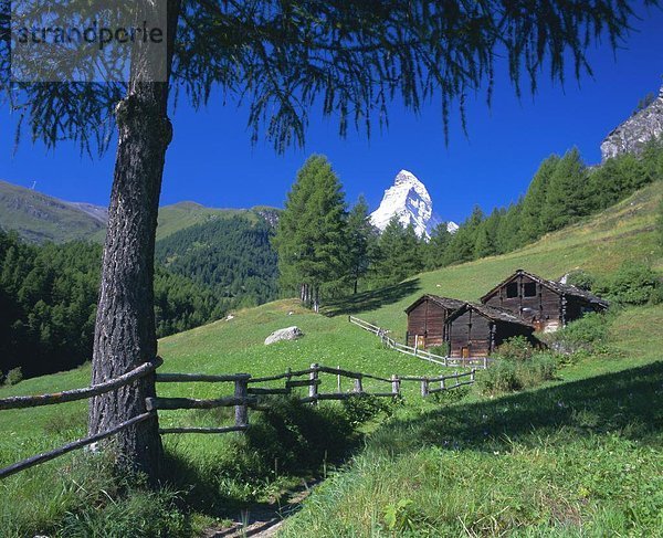 Europa über grün Turm Matterhorn Wiese Westalpen Schweiz Zermatt Schweizer Alpen