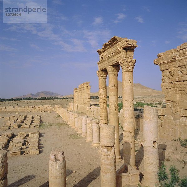 Naher Osten  Palmyra  Syrien