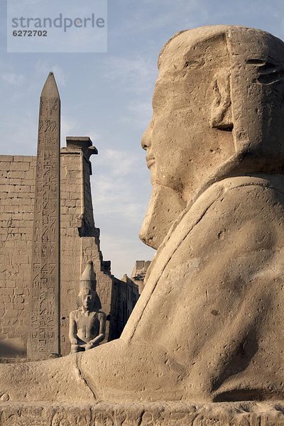 Nordafrika  frontal  UNESCO-Welterbe  Afrika  Ägypten  Luxor  Sphinx