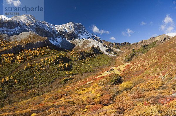 Herbst Farben  Yading-Naturschutzgebiet  Provinz Sichuan  China  Asien