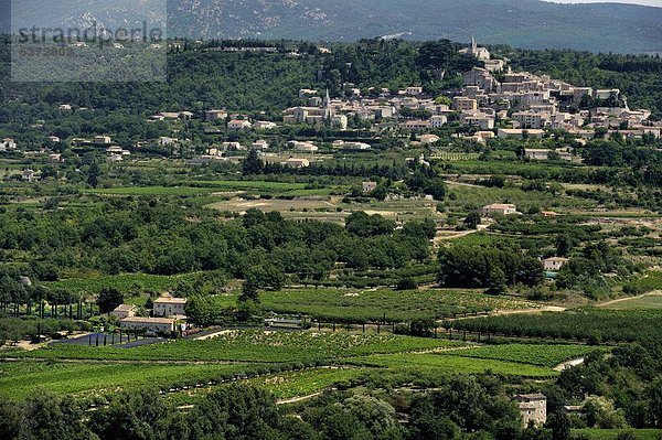 Ländliches Motiv  ländliche Motive  Frankreich  Europa  Landschaft  Dorf  Ansicht  Sehenswürdigkeit  Provence - Alpes-Cote d Azur  Lacoste