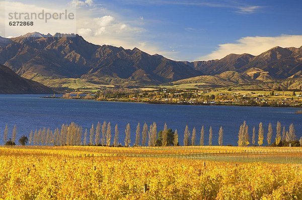 Pazifischer Ozean  Pazifik  Stiller Ozean  Großer Ozean  neuseeländische Südinsel  Neuseeland  Wanaka