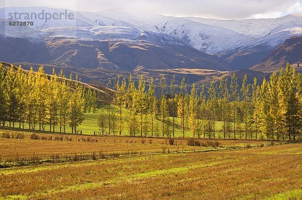 Pazifischer Ozean  Pazifik  Stiller Ozean  Großer Ozean  neuseeländische Südinsel  Neuseeland  Queenstown