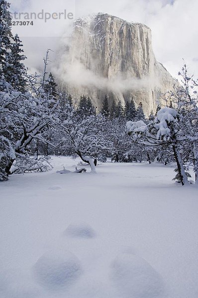 Vereinigte Staaten von Amerika  USA  Frische  Tal  Nordamerika  Yosemite Nationalpark  UNESCO-Welterbe  Kalifornien  Schnee