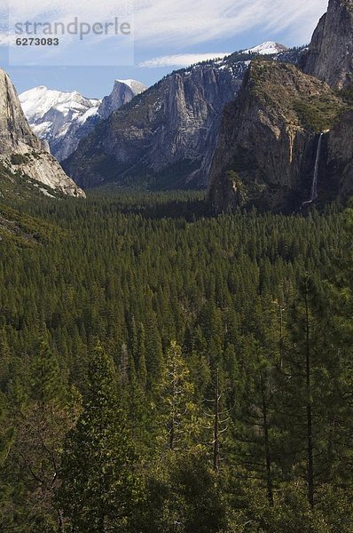 Vereinigte Staaten von Amerika  USA  Kuppel  Braut  Tal  Nordamerika  Yosemite Nationalpark  UNESCO-Welterbe  Kalifornien  Kuppelgewölbe  Hälfte