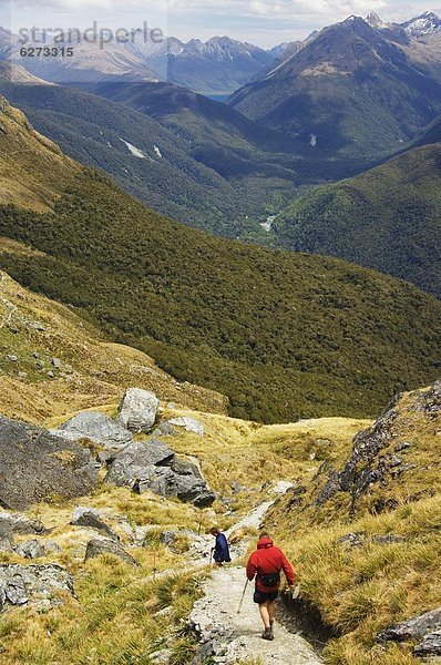 kegelförmig  Kegel  Spur  führen  folgen  Hügel  wandern  Pazifischer Ozean  Pazifik  Stiller Ozean  Großer Ozean  neuseeländische Südinsel  Neuseeland