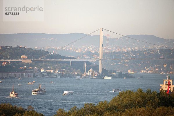 Truthuhn  Europa  Istanbul  Türkei