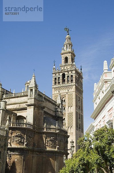 Europa  Sevilla  Spanien
