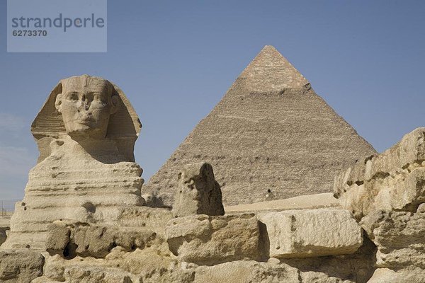pyramidenförmig  Pyramide  Pyramiden  Nordafrika  UNESCO-Welterbe  Afrika  Ägypten  Gise  Pyramide  Sphinx