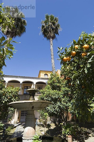 Europa Garten Natürlichkeit Alcazar von Sevilla Sevilla Spanien