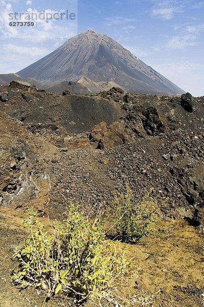 Der Vulkan Pico de Fogo im Hintergrund  Fogo (Feuer)  Kapverdische Inseln  Afrika