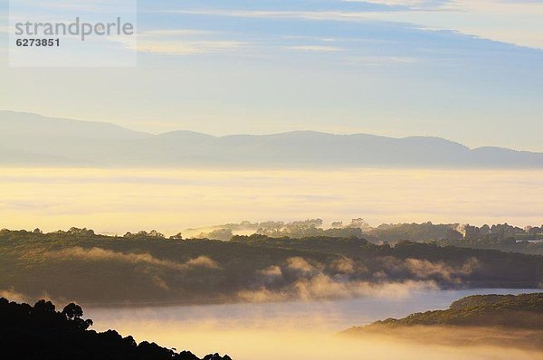 Morgen  über  Nebel  Pazifischer Ozean  Pazifik  Stiller Ozean  Großer Ozean  Victoria  Australien  Stausee