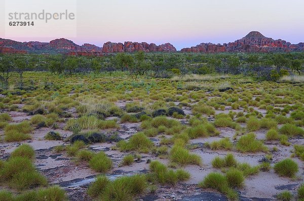 Die Kuppeln  Bungle Bungle  Purnululu-Nationalpark  UNESCO Weltkulturerbe  Kimberley  Westaustralien  Australien  Pazifik