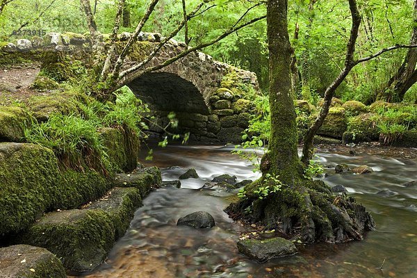 spannen Mittelalter Europa Großbritannien Brücke Fluss Holz Devon England