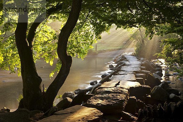 Stufe  Europa  Sommer  Morgen  Großbritannien  Dunst  Brücke  Klöppel  England  Somerset