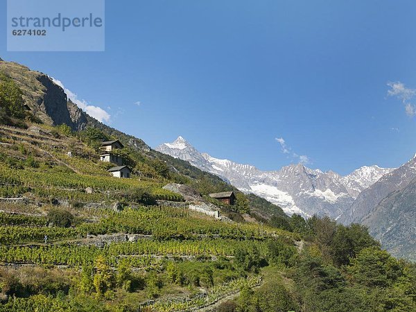 Europa  Westalpen  Schweiz  Zermatt