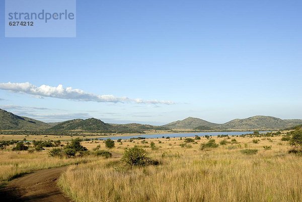 Südliches Afrika  Südafrika  Afrika